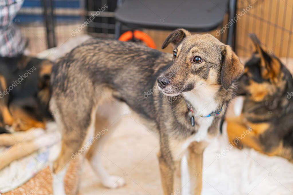 Licht und Schatten im Alltag